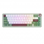 Tastatura mecanica gaming Royal Kludge, 65 taste, hotswap, RGB, chartreuse switch, RKR65-GREEN