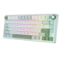 Tastatură mecanică Royal Kludge USB-C, 75%, 81 taste, buton inteligent, RGB, switch silver, RKR75-SKYCYAN