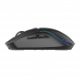 Mouse de gaming wireless Dareu, cu statie de incarcare, RGB, 12000 DPI, negru, INN-046690