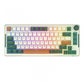 Tastatura mecanica fara fir Royal Kludge RKH81 RGB, comutator Sky cyan (verde)