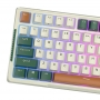 Tastatura mecanica fara fir Royal Kludge RKH81 RGB, comutator Sky cyan (verde)