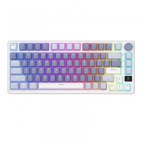 Tastatura mecanica fara fir Royal Kludge RKM75 RGB, switch argintiu (albastru)