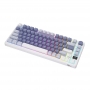 Tastatura mecanica fara fir Royal Kludge RKM75 RGB, switch argintiu (albastru)