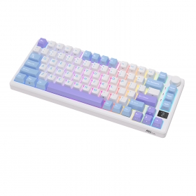 Tastatură mecanică Royal Kludge 2,4 GHz/bluetooth/USB-C, 75%, buton inteligent OLED, RGB, switch RED, RKM75-TAROR