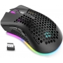 Mouse gaming Royal Kludge RM310, 1600 dpi, 7 butoane, wireless, reincarcabil, ultrausor 95g, iluminare RGB, negru, RM310-BLACK